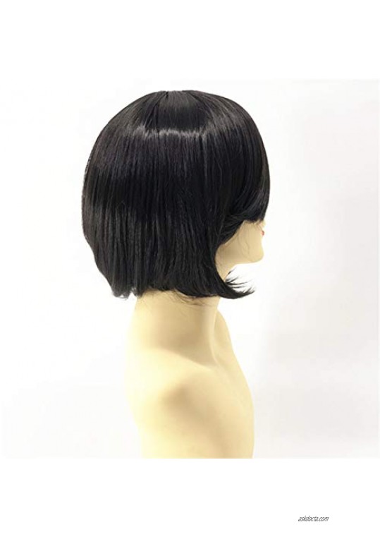 Short Fluffy Bob Straight Hair Wigs Short Straight Gradient Full Wig Hairstyles Custom Cosplay Party Hairpiece (Black)