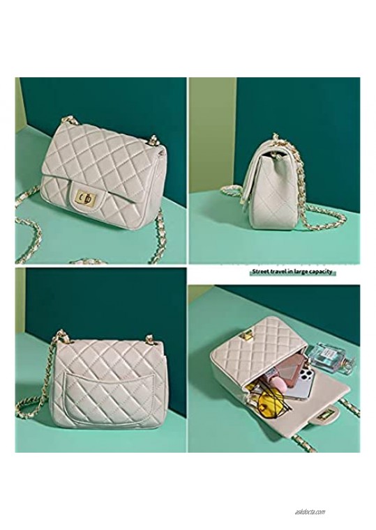 Jopchunm Designer Handbags Small Quilted Purse Crossbody Bag for Women With Chain Strap