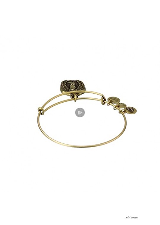 Alex and Ani Guardian of Knowledge Expandable Wire Bangle Bracelet