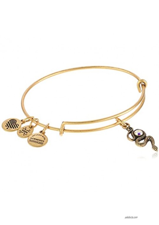 Alex and Ani Path of Symbols Snake with Crystal Expandable Wire Bangle Charm Bracelet