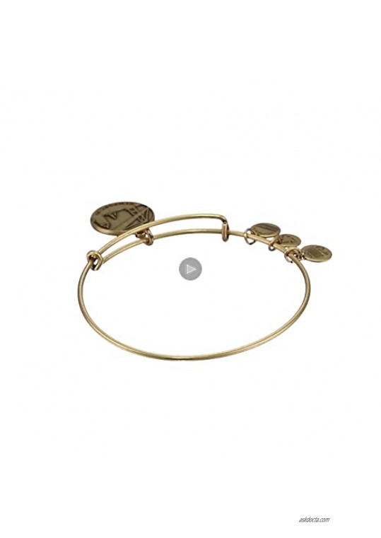 Alex and Ani Places We Love Rafaelian Gold-Tone Newport II Expandable Wire Bangle Bracelet 7.25