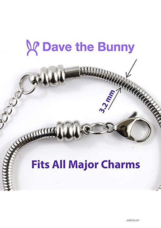 EPJ Ladybug Bracelet | Stainless Steel Snake Chain Charm Bracelet