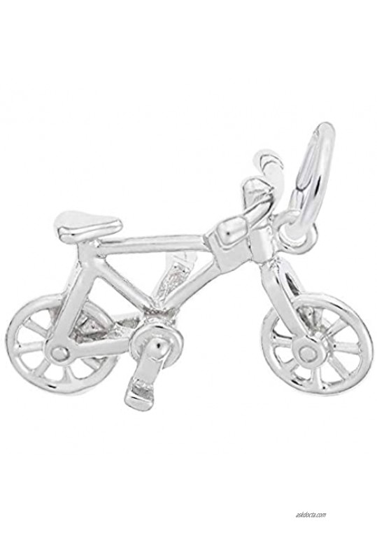 Rembrandt Charms Bicycle Charm